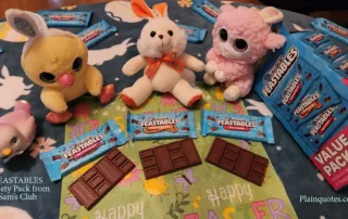 MrBeast Feastables Chocolates