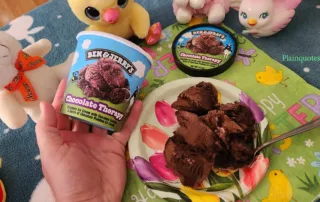 Ben & Jerry's Chocolate Therapy Ice Cream