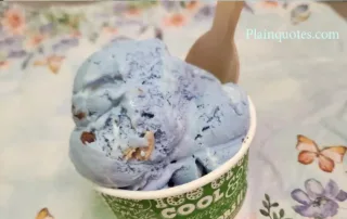 Ben & Jerry's Marshmallow Sky Ice Cream