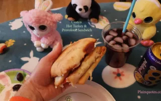 Hot Turkey & Provolone Sandwich from Costco