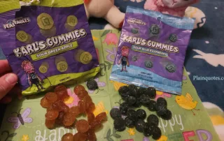 MrBeast FEASTABLES Karl's Gummies