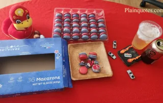 Joie De Vivre Macarons from Costco