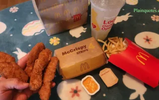 McDonald's McCrispy Strips
