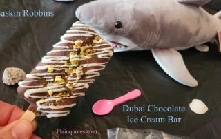 Baskin Robbins Dubai Chocolate Ice Cream Bar