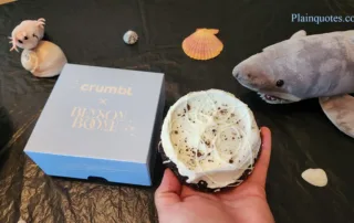 Crumbl Benson Boone's Moonbeam Ice cream Cookie