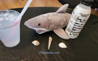 Prime Collector Series Hydration Drink