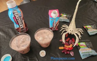 Feastables Protein Chocolate Milk