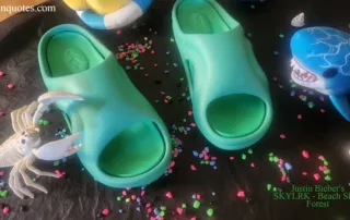 Justin Bieber Skylrk Beach Slides